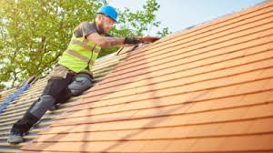 Best Roof Maintenance and Cleaning  in Salem, AR