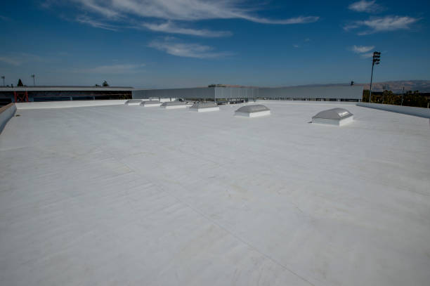 Best Sheet Metal Roofing  in Salem, AR