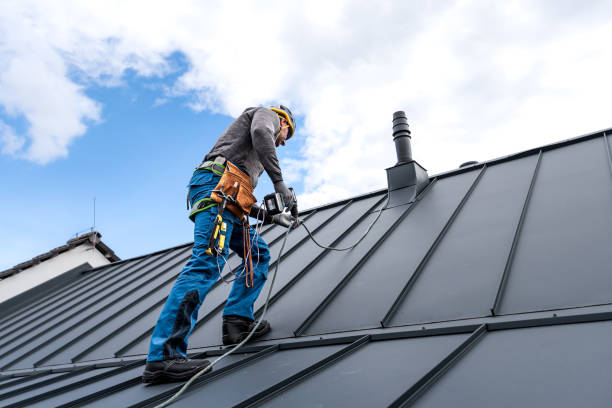 Best Roof Coating and Sealing  in Salem, AR